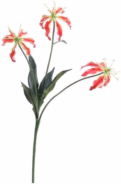 KDMD Red and Orange Gloriosa Spray, 2 Pack, Height: 50 cm