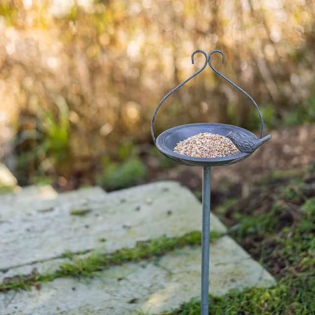 Peckish Secret Garden Metal Feeding Dish - Grey