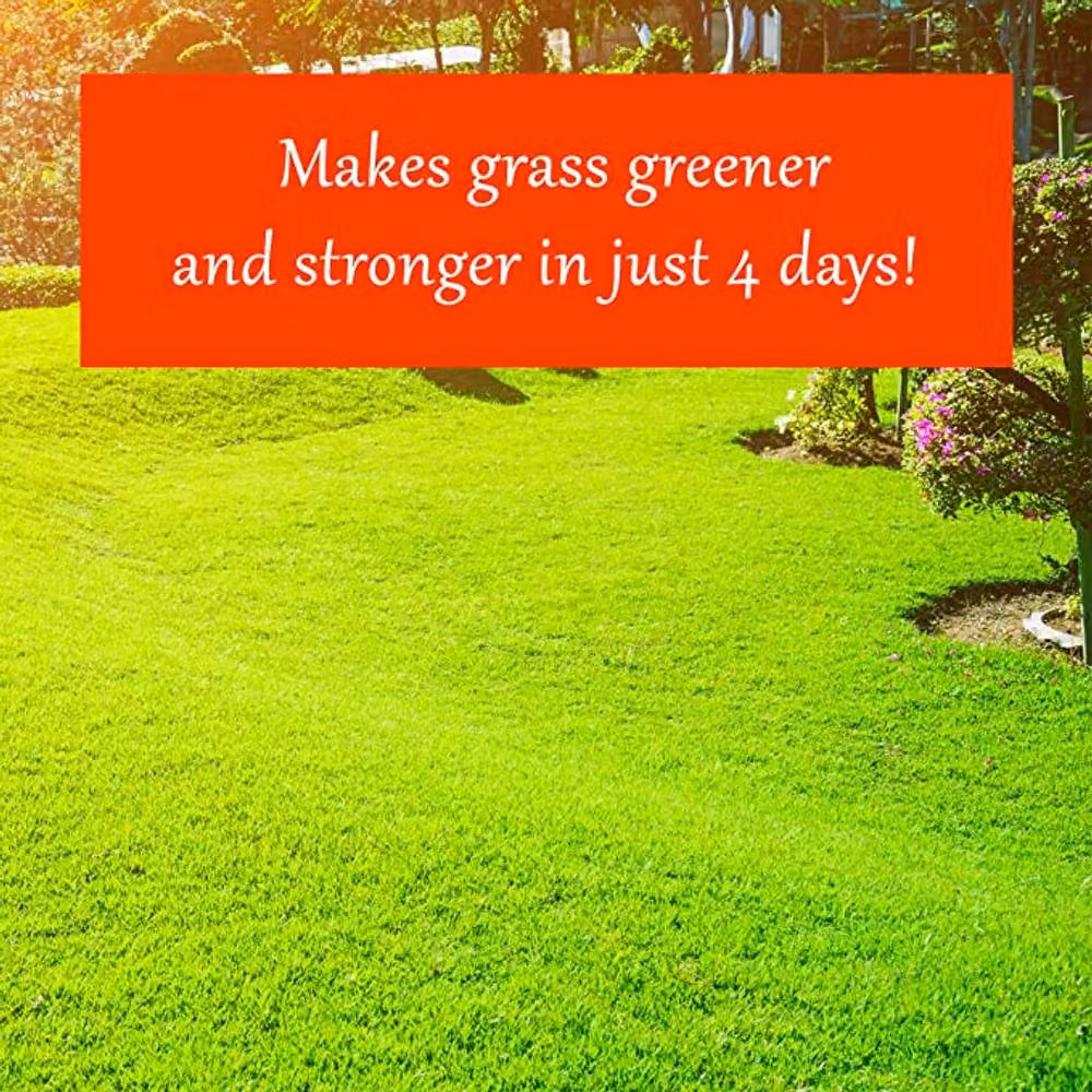Homefront Grass Greening Granules Lawn Fertiliser and Plant Tonic, 4 x 2.5kg – 2