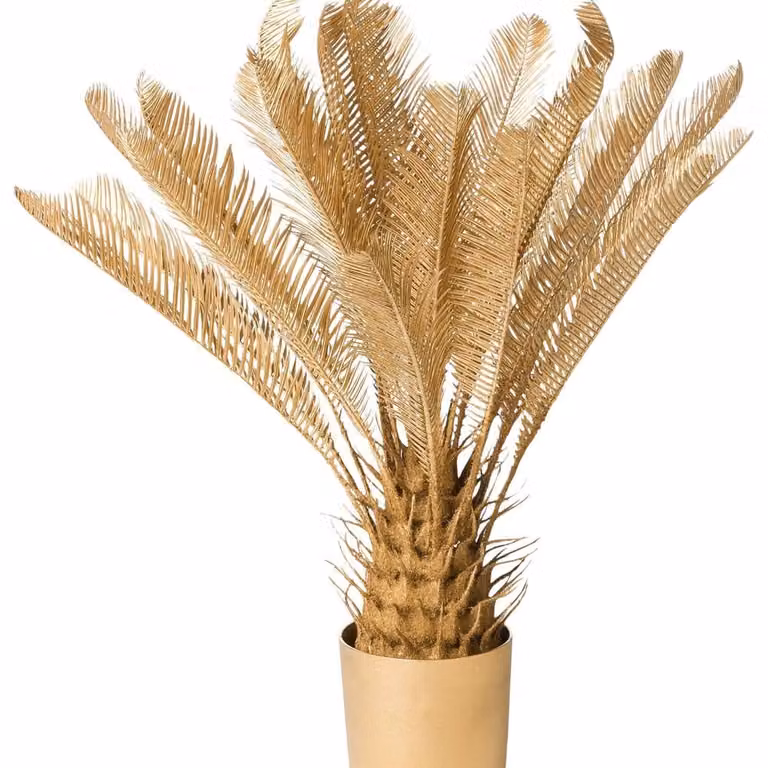 Wyld and Coco Gold Artificial Potted Palm Plant, Height: 70 cm