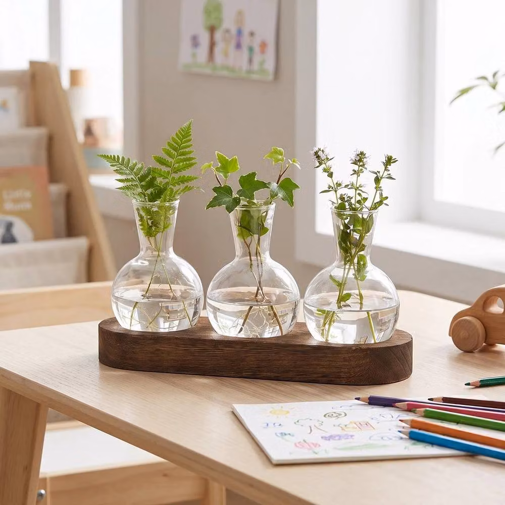PAWNORA Desktop Propagation Station with Clear Glass Bulb Vases and Wooden Stand – 5