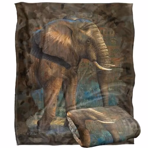 JQ Licensing Elephant Silky Touch Super Soft Fleece Throw Blanket, White, W/D/H: 152 x 127 cm – 1