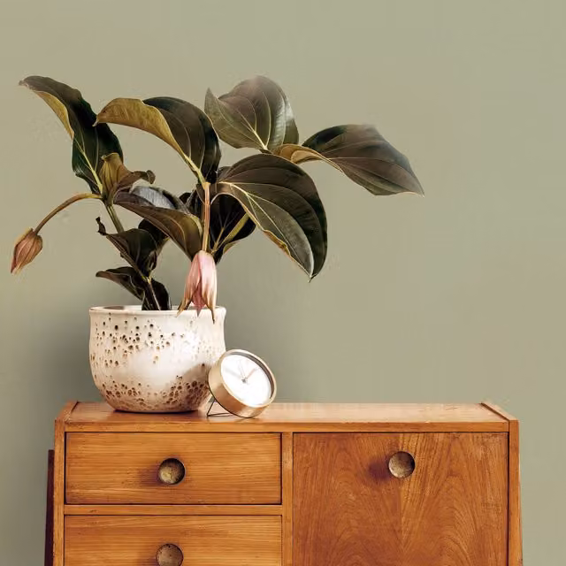 A.S. Création Superfresco Easy Amour Texture Wallpaper in Sage Green