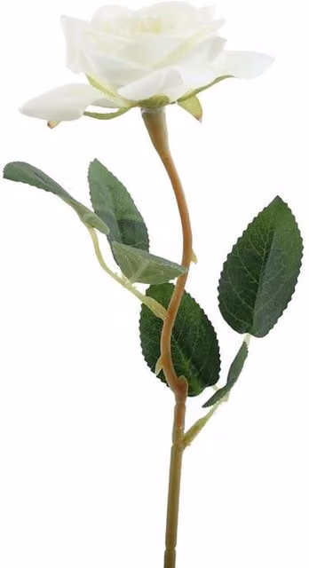 Kingsbury Gifts White Artificial Rose Stem, Height: 37 cm