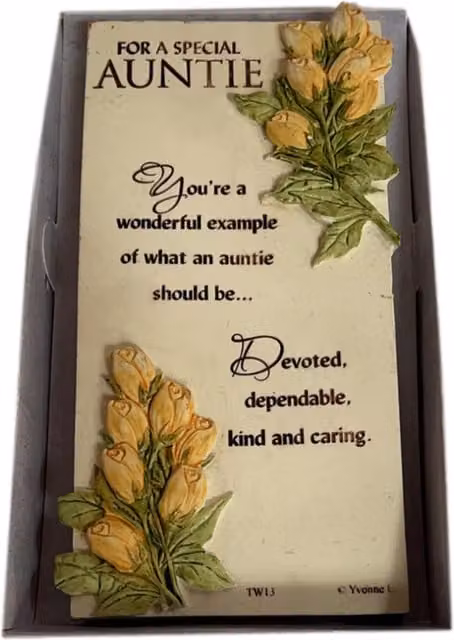 Sensations Special Auntie Timeless Words Hanging Plaque, Multicolour and White, W: 16.0 cm, H: 9.0 cm