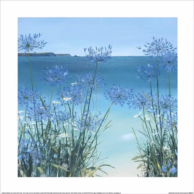Claire Henley Summer View Of Gull Rock Paper Poster Print in Light Blue