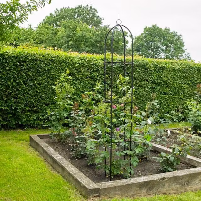 Kingfisher Garden Black Metal Obelisk Climbing Plant Support, Height: 190 cm, Width: 39 cm, Depth: 39 cm