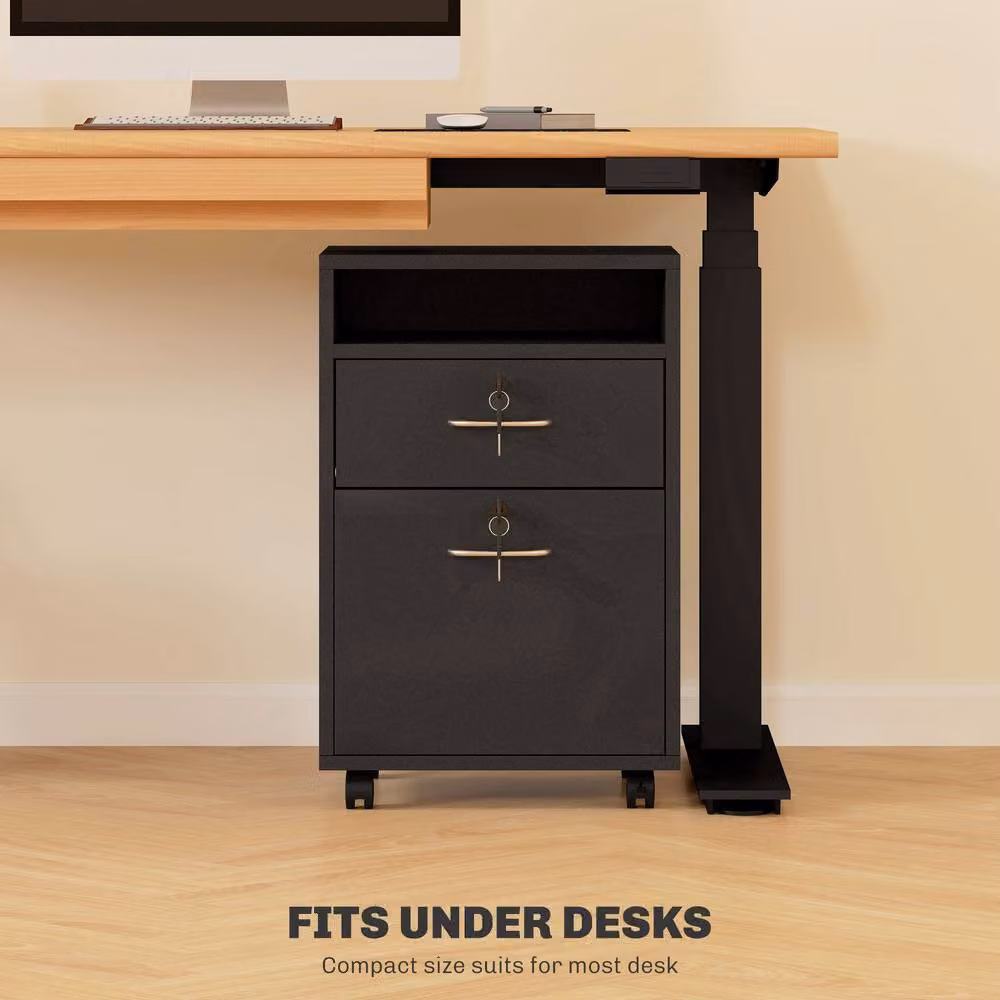 ERGOVEXA Mobile Filing Cabinet with 2 Drawers and Lock, Black – 6