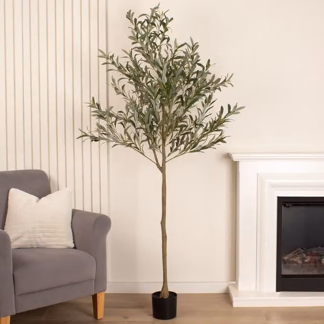 Scottish Everlastings Ltd 190cm Green Mediterranean Olive Tree