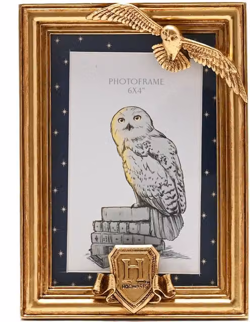 Warner Bros Harry Potter Hedwig Gold Metal Photo Frame, W: 15 cm, H: 15 cm, D: 1 cm – 1