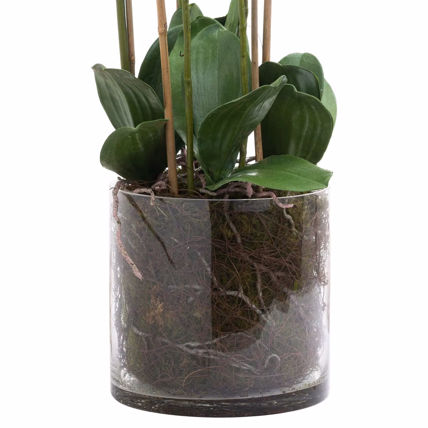 Love Lace Large White Tall Artificial Orchid in a Glass Pot – 2
