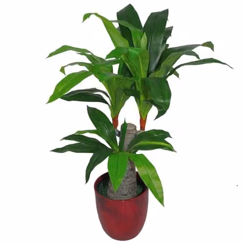Leaf Design Spiky Tropical Artificial Potted Plant, Green, Height: 75 cm – 1