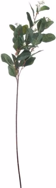 Hill Interiors Artificial Summer Seeded Eucalyptus Flower in Green
