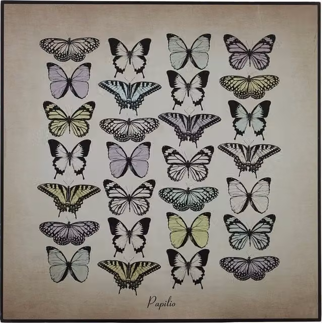 Maison by Premier Madera Papilio Butterfly Wall Plaque in Assorted Beige, Black and Multicolour