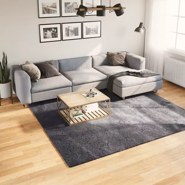 Berkfield Home Round Short Pile Soft and Washable Rug in Anthracite and Black, Diameter: 100 cm – 1