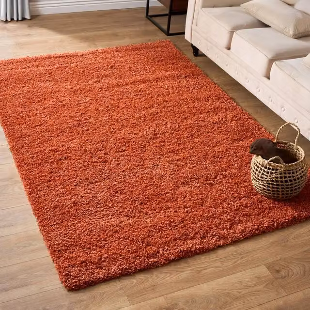 Bravich LTD Shaggy Area Rug in Terracotta, W/D/H: 290 x 200 x 5 cm