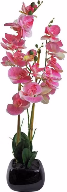 Leaf Design UK Light Pink Artificial Orchid with Black Ceramic Planter, Height: 70 cm, Width: 30 cm, Depth: 30 cm – 4