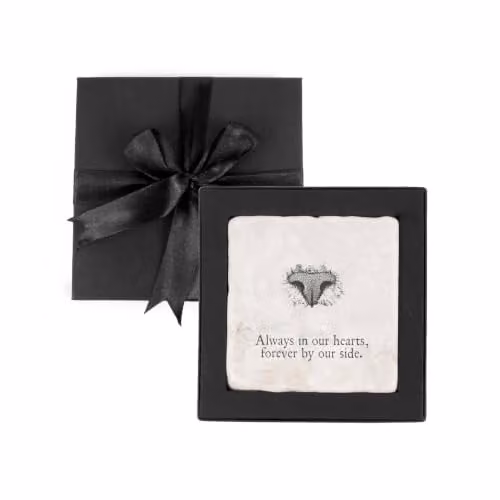 Purely Home Marble Coaster Gift Box with Flat Nose Cat Print, Square, Non-Slip, Available in White, Black or Green