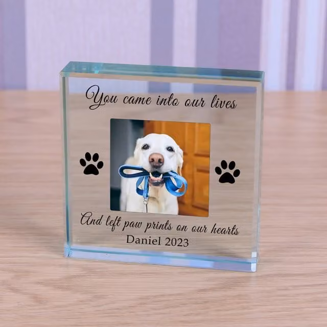 Uniqueful Personalised Paw Prints Pet Memory Glass Token Sympathy Gift in Transparent and Beige