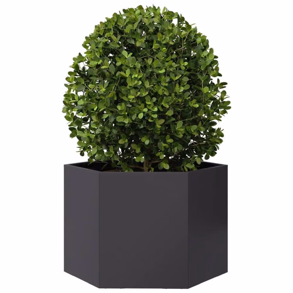 Berkfield Black Hexagon Steel Garden Planter W: 69 cm, D: 60 cm, H: 45 cm – 3