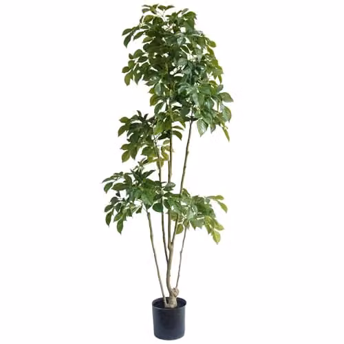 Leaf UK XL Luxury Artificial Botanik Tree in Green, Height: 180 cm