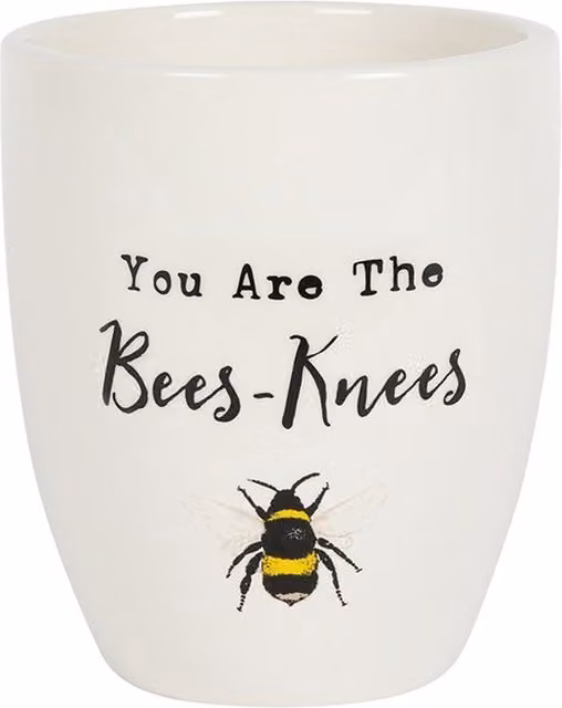 KDMK You Are the Bees Knees White Ceramic Round Tabletop Plant Pot