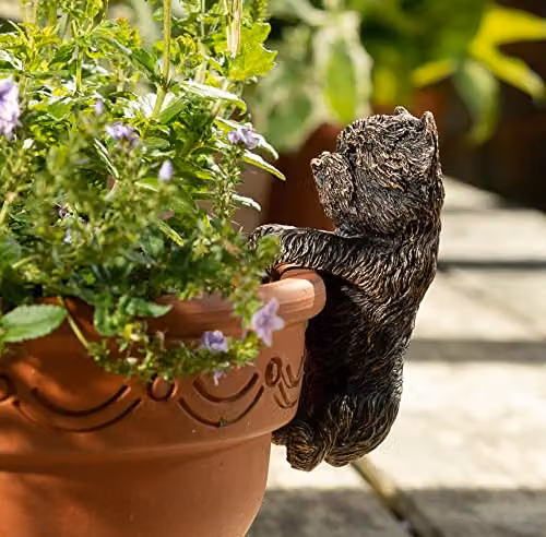 Jardinopia Antique Bronze West Highland Terrier Hanging Plant Pot Buddy – 4