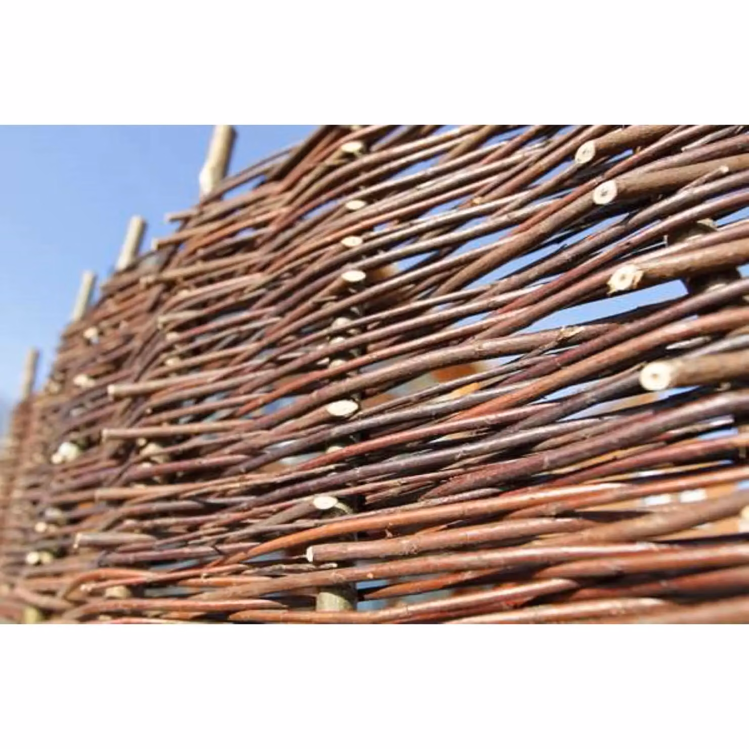 Primrose Premium Woven Willow Hurdle Fence Panel Screening in Brown, H: 182.88 cm, W: 60 cm – 4