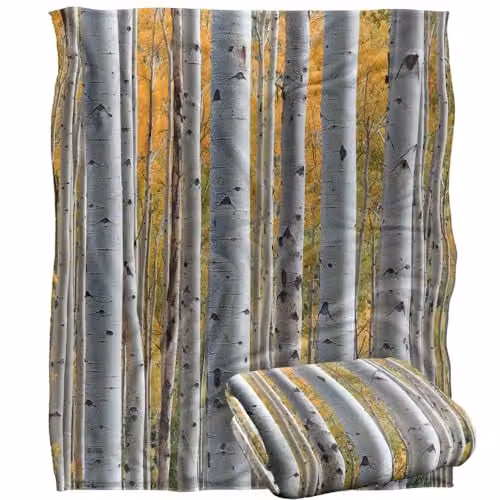 JQ Licensing James Piazza Birch Trees Silky Touch Super Soft Fleece Throw Blanket, White, W: 152 cm, D: 127 cm – 1