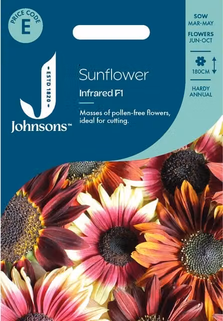 Johnsons Seeds Multicolour Infrared Sunflower Seeds for Ornamental Gardens