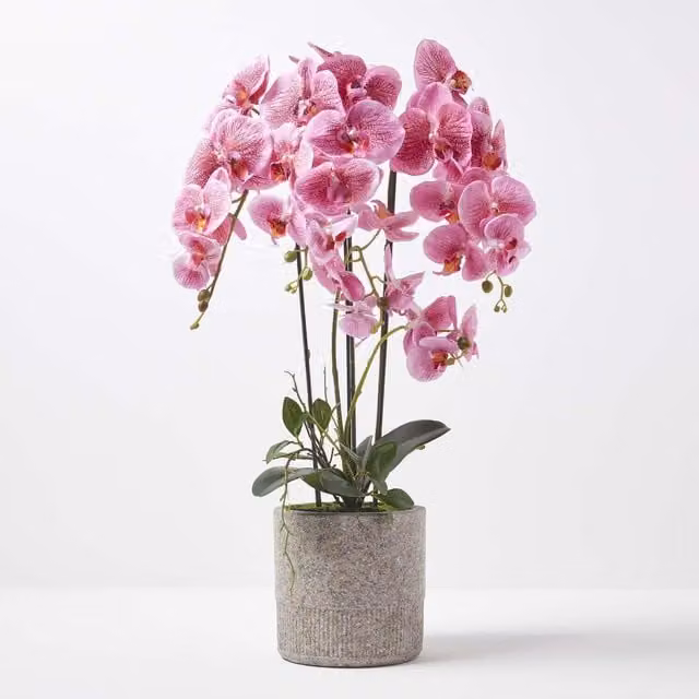 Homescapes Extra Large Pink Artificial Orchid in a Grey Concrete Pot, Height: 82 cm