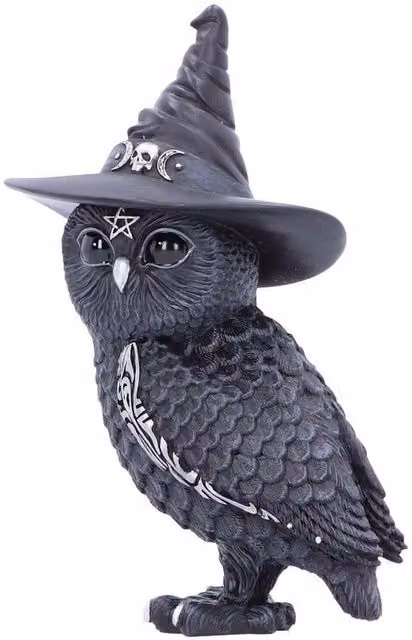 Nemesis Now Owlocen Witches Hat Occult Owl Figurine in Black and Silver, Height: 13.5 cm
