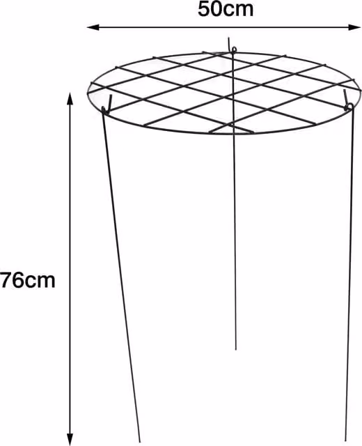 Garden Gear Metal Round Grow Through Grid Plant Support Frame, Green, W/D/H: 76.0 x 50.0 x 50.0 cm