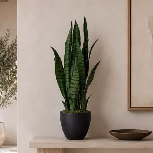 LeafUK Green Artificial Sansevieria Tropical Snake Plant Potted Tabletop Green Plant – 3