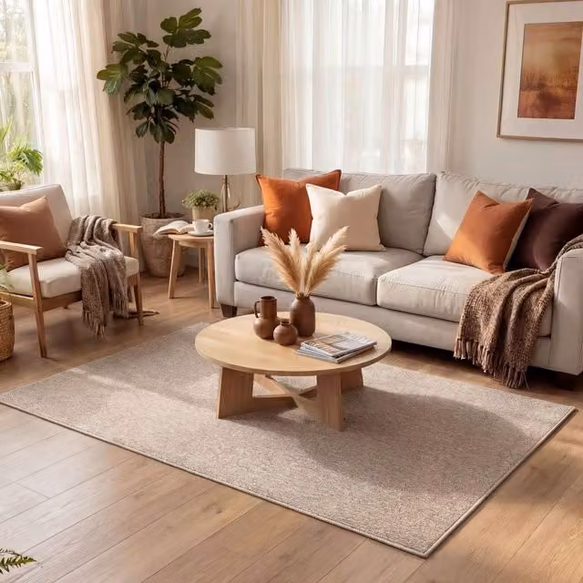 THE RUGS Flex Collection Solid Design Low Pile Living Room Rug in Beige, W/D: 160 x 230 cm