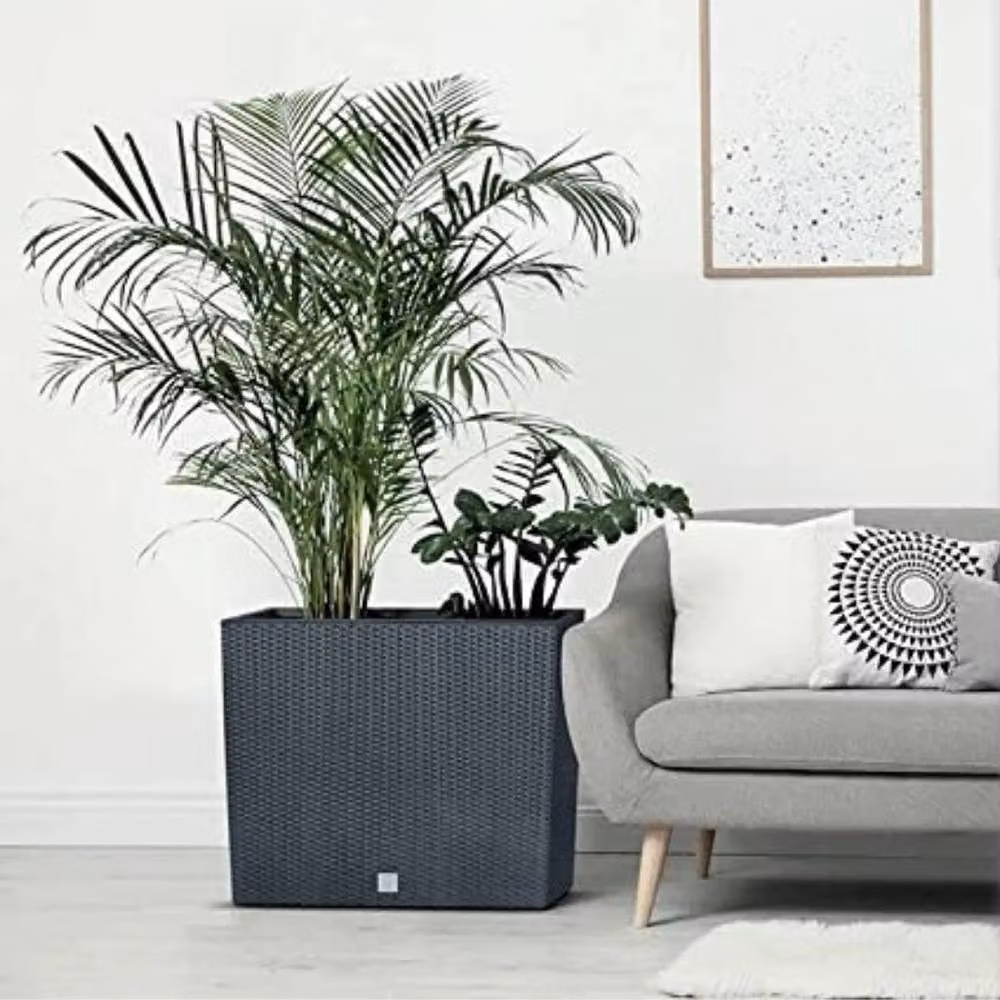 SPETLEK Rectangular Rattan Floor Standing Planter in Black for Indoor and Outdoor Use – 2