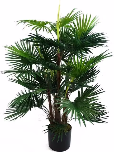 Dyzi 90cm Artificial Fan Palm Tree in Green and Black