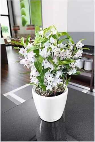 Lechuza Classico 35 LS Self Watering Plant Pot in White High-Gloss, D35 x H33 cm – 4