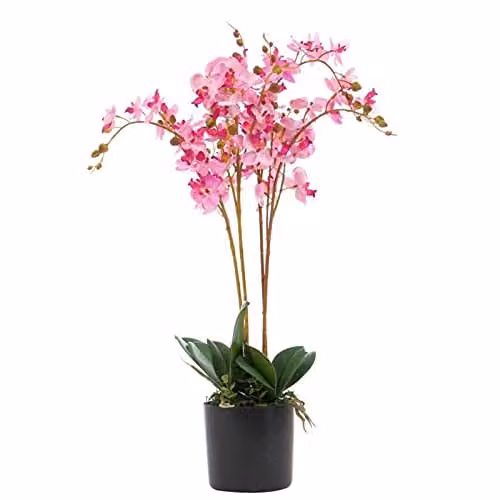 Leaf Design UK Realistic Pink Artificial Orchid Flower Display in Pot, Height: 60 cm