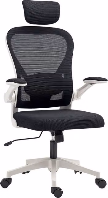 Rolipo Ergonomic Mesh Executive Office Chair with Headrest and Lumbar Support in Black – 1