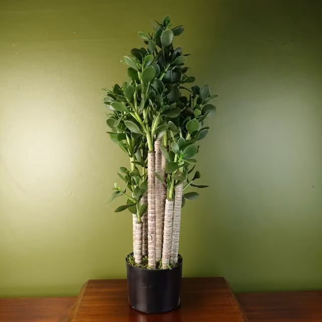 Leaf Artificial Deluxe Green Jade Potted Plant, Green, H 14.0 cm x W 14.0 cm x D 12.0 cm