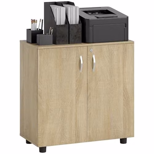 Vinsetto Lockable Office Storage Cabinet with Hinged Doors and Adjustable Shelves, Brown, W/D/H: 80 x 40 x 80 cm