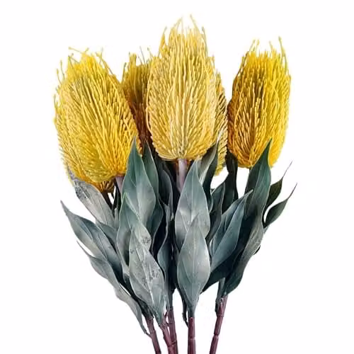 Pegdev Pack of 6 Artificial Banksia Floral Stems in Yellow and Pink, Height: 75 cm – 4