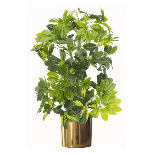 Leaf Design UK Modern Metal Leaf Planter, Gold, H 20 cm x W 18 cm – 2