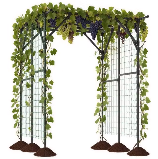 COSTWAY Large Garden Arch Trellis Arbor Pergola in Black, H 197 x W 150 x D 150 cm
