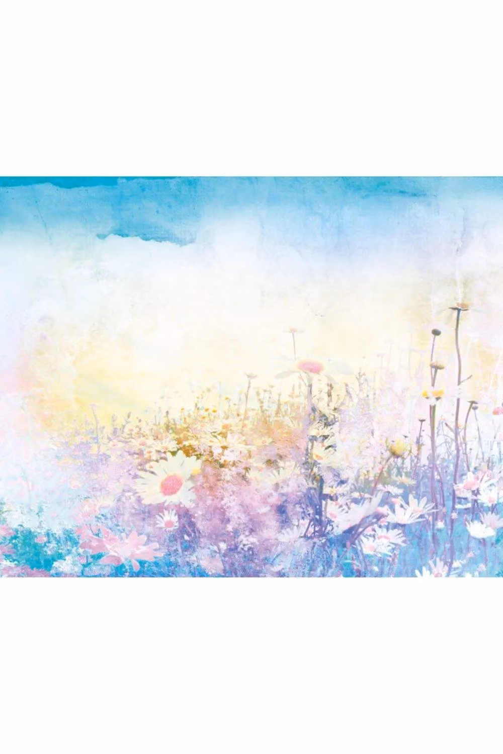 Origin Murals Daisy Meadow Floral Wall Mural in Purple and Multicolour, W: 300 cm, H: 240 cm – 2
