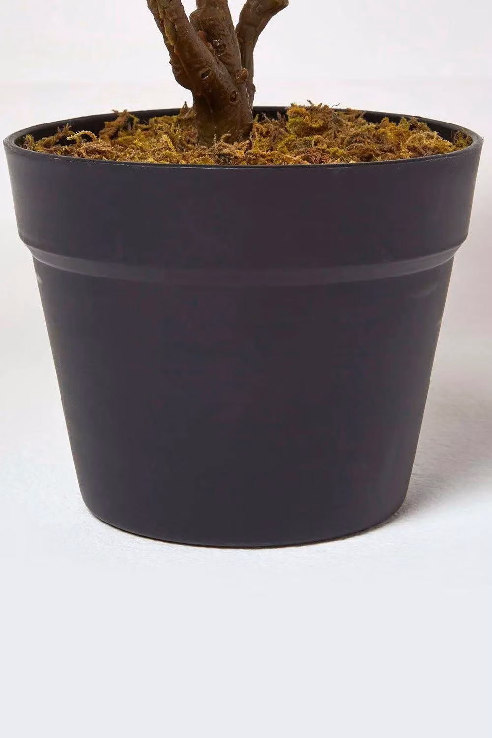 Homescapes Rushfoil Artificial Potted Croton Plant in Green, Yellow and Red with Black Pot, Height: 65 cm – 4
