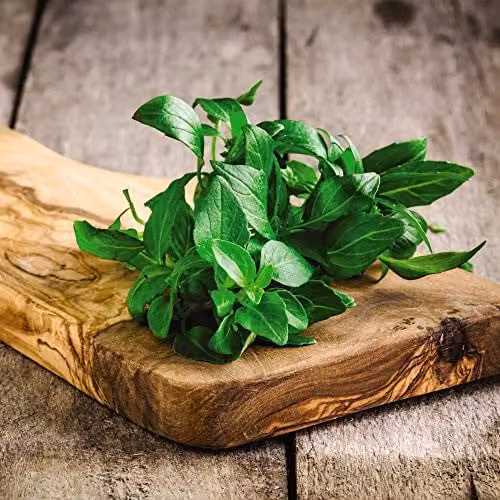 Thompson and Morgan Organic Basil Classico Herb Seeds, 250 Seeds
