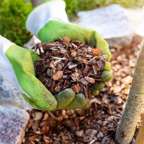 YouGarden Ornamental Spruce Bark Mulch, 70 l