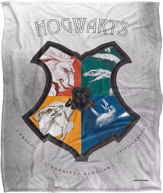 LOGOVISION Harry Potter Fleece Throw Blanket, White and Multicolour, W: 152 cm, D: 127 cm